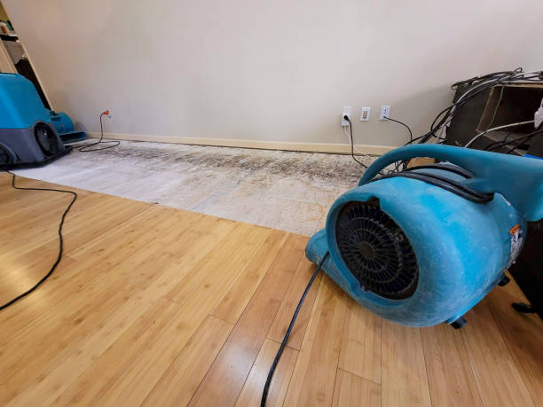 Reliable Basement Flood Cleanup contractor in Harlan, KY by Hirex Water Damage