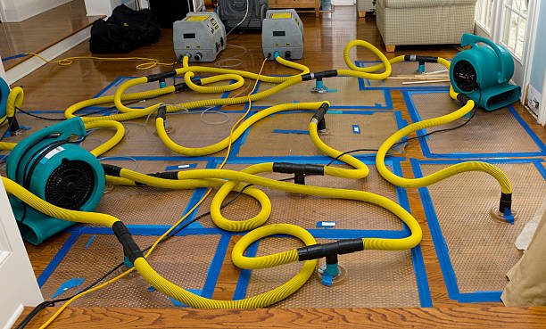 Professional Basement Flood Cleanup technician working in Harlan, KY